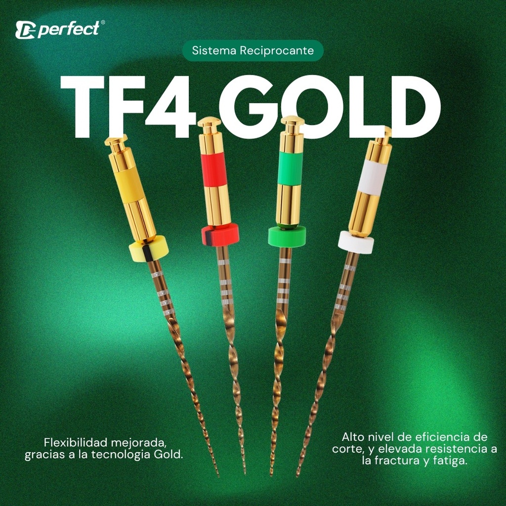 Limas mecanizada flexible TF4 Gold x 4  #25 - de 25mm - Perfect