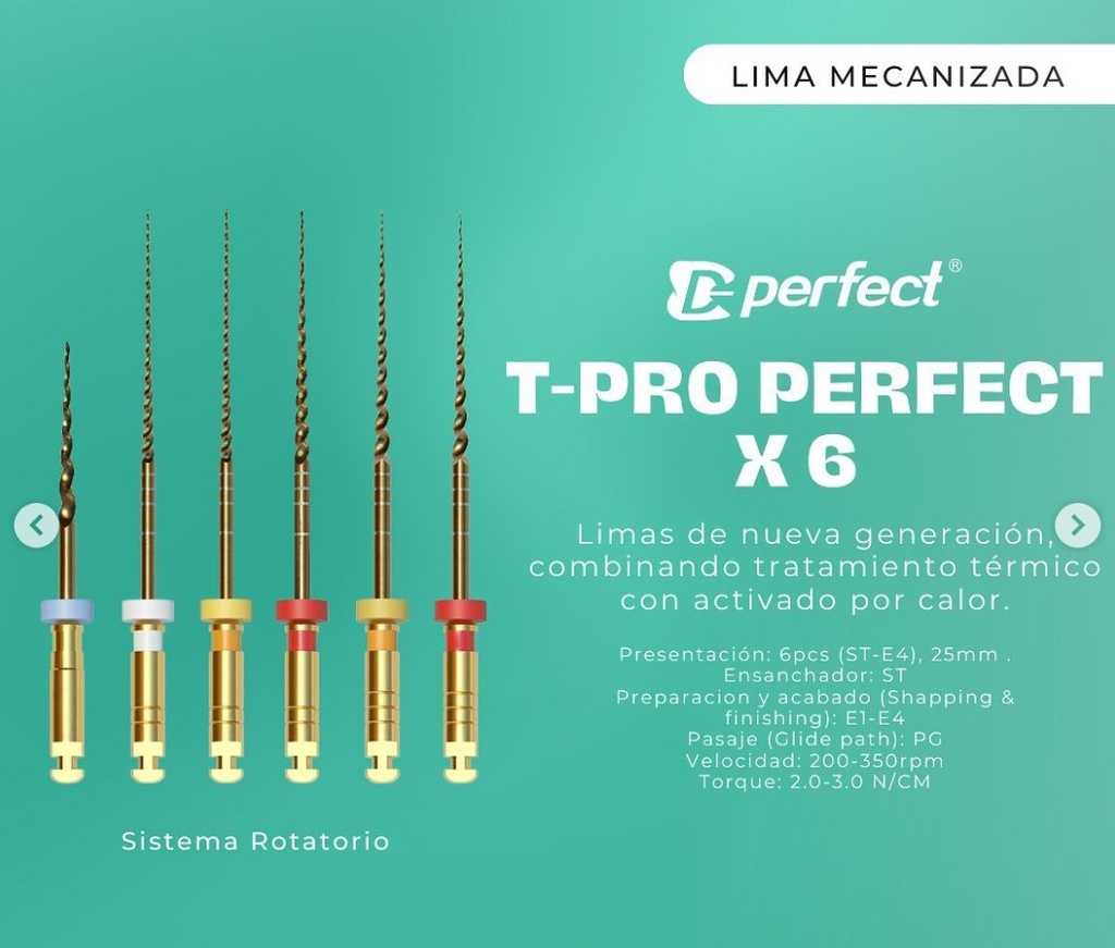 Limas mecanizada  flexible TG6 x 6 limas de 25mm - Perfect