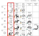 Gomas Elástico intraoral de látex  X 100 UNIDADES - Orthodontics