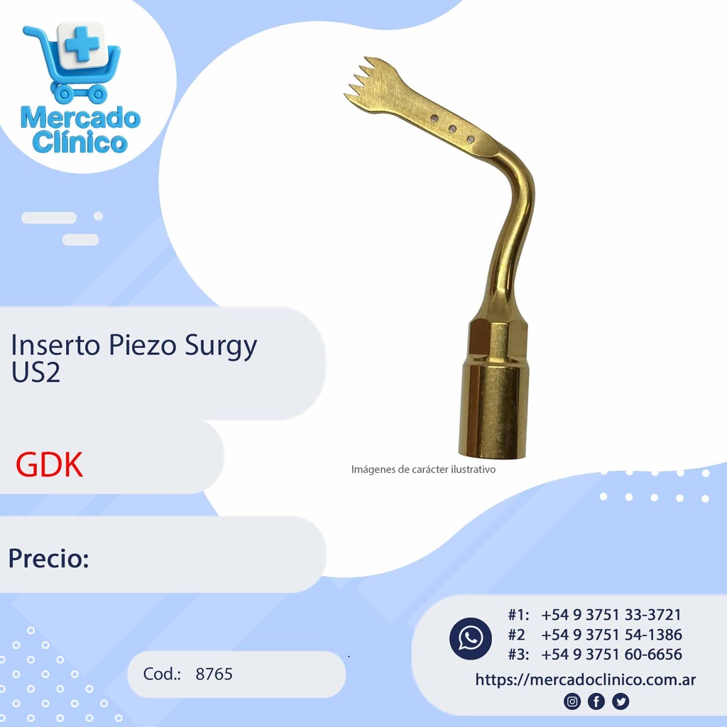 Inserto Piezo Surgy US2 - GDK