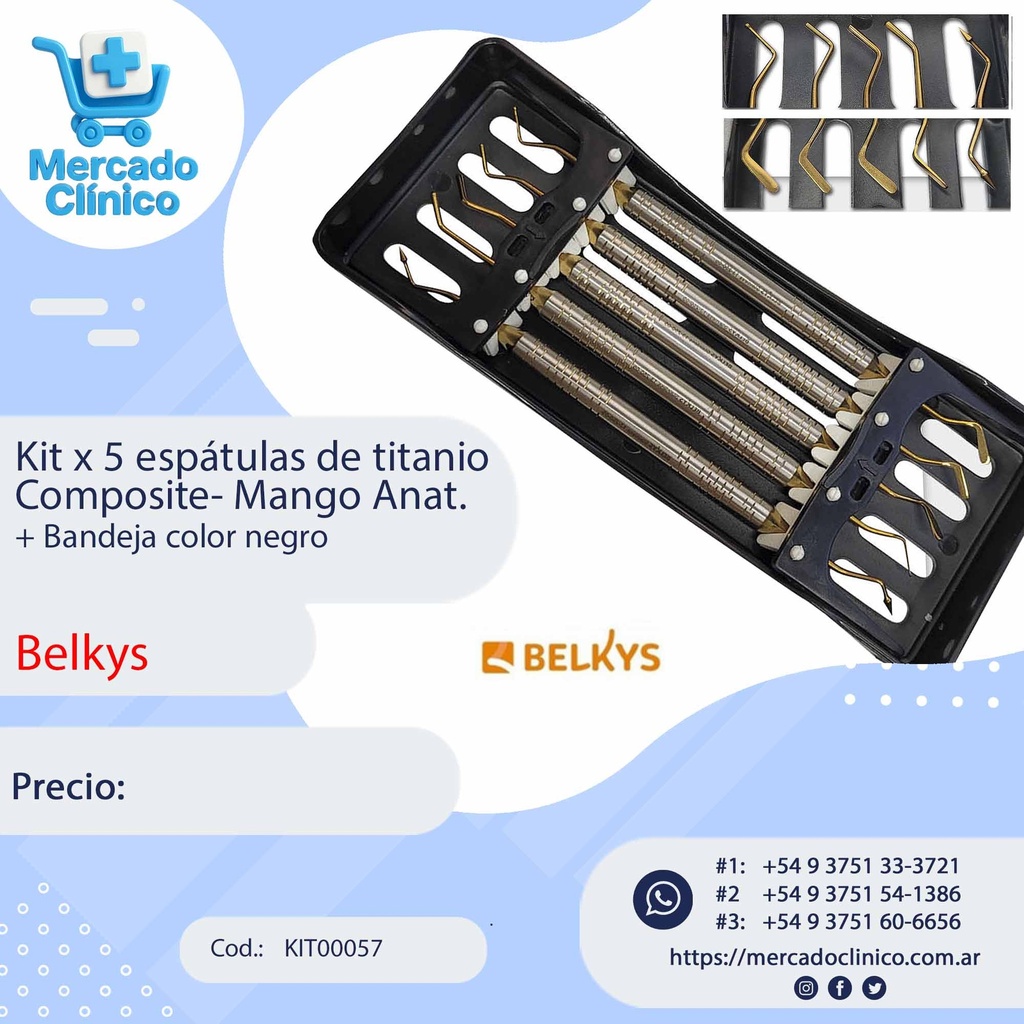 Kit x 5 Instrumentos ( Espatulas) de Composite + Bandeja - Belkys 