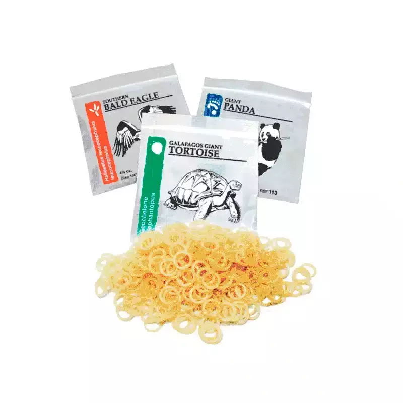 Gomas Elástico intraoral de látex  X 100 UNIDADES - Orthodontics